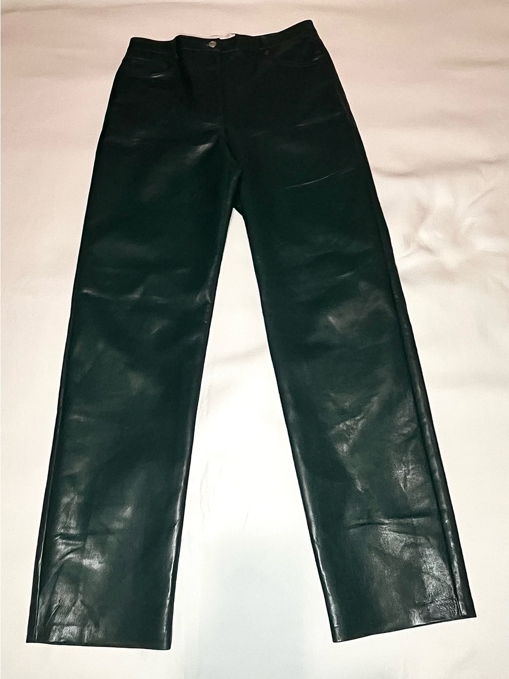 Forest Green Aritzia Wilfred The Melina Faux Leather Pants